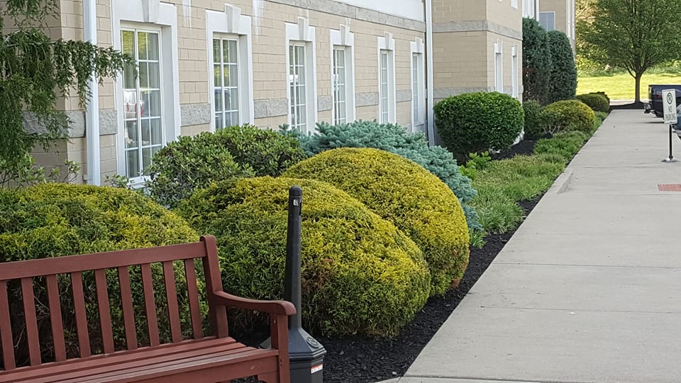 Add Some Color to Your Commercial Landscaping With These Suggestions